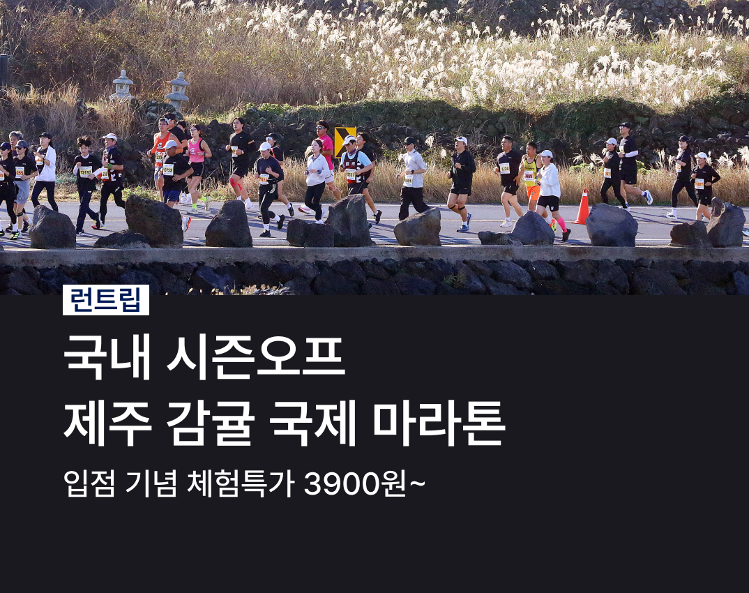 제주감귤